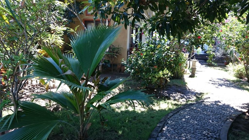 Guest house Barracuda Amed (Bali)
