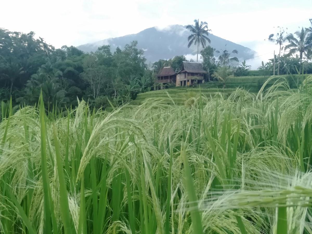 Homestay D'ume Bendoel