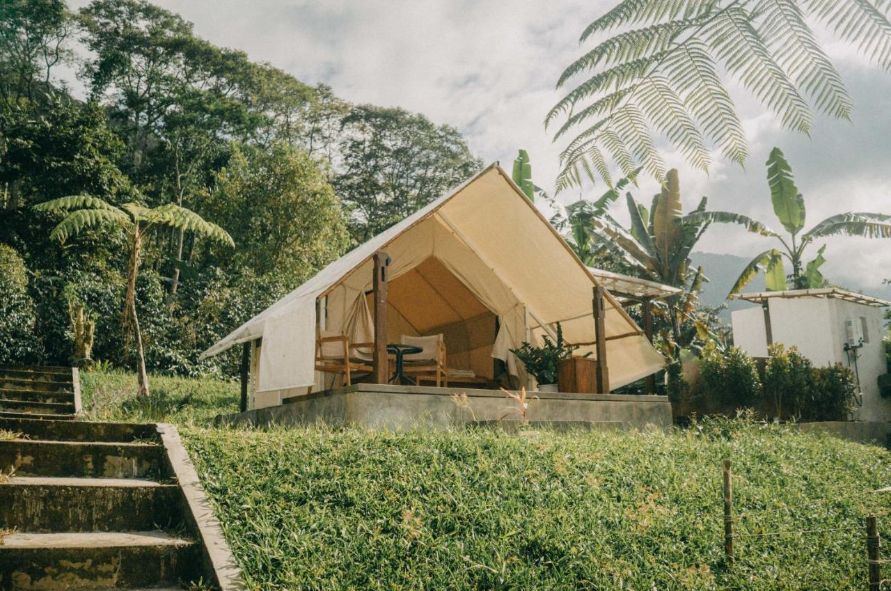 Alamu Eco Luxury tent
