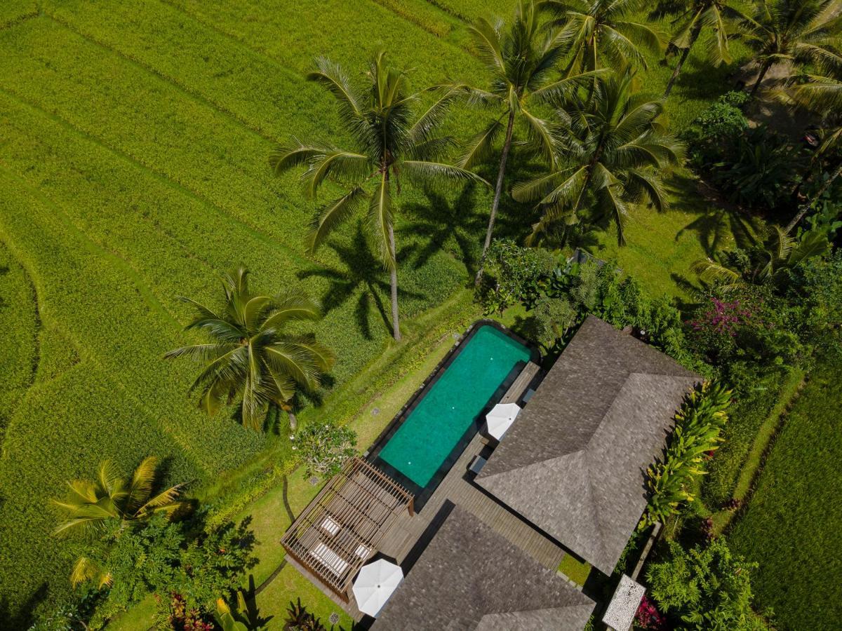 Resort Kappa Senses Ubud (Bali)