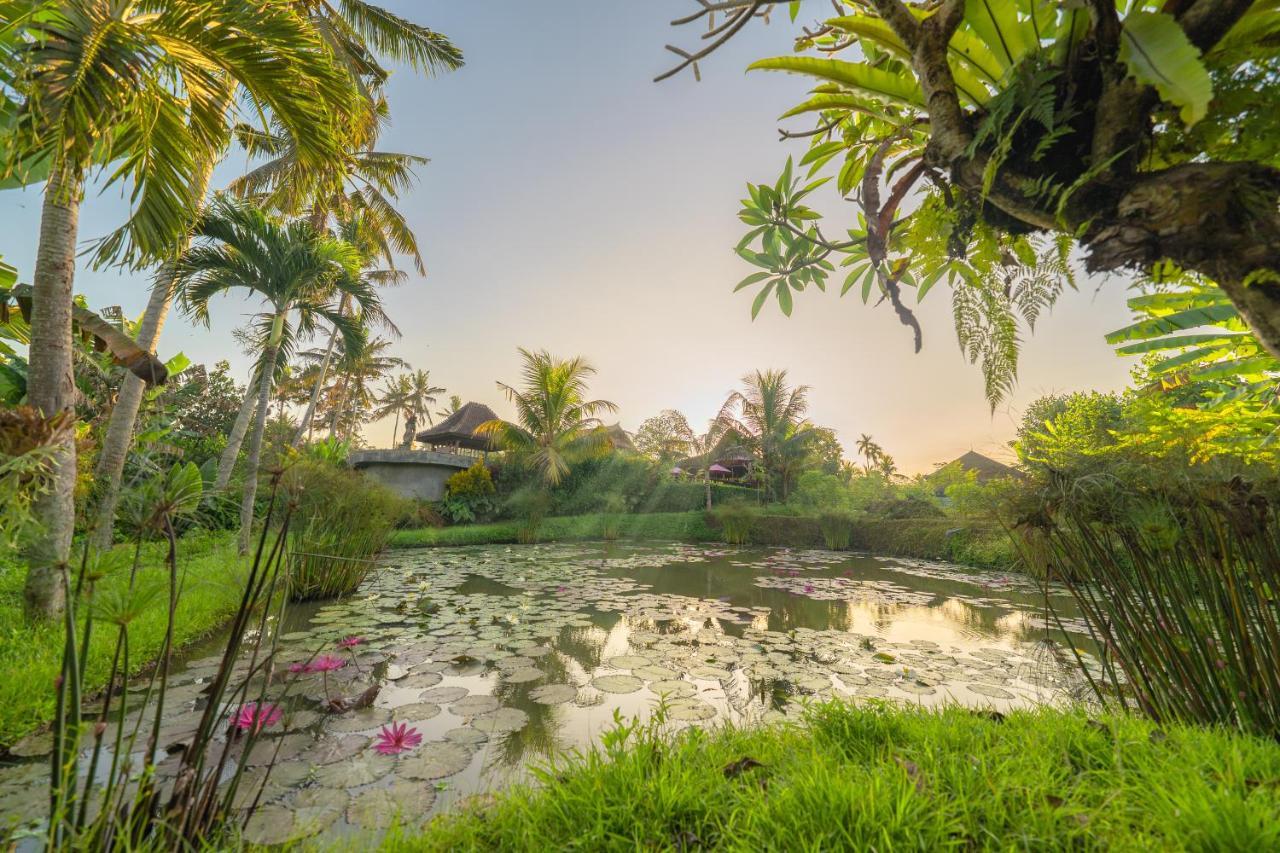 Uma Dawa Resort And Spa