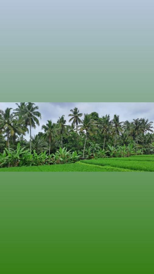Bed & Breakfast Galang Hari Ubud (Bali)