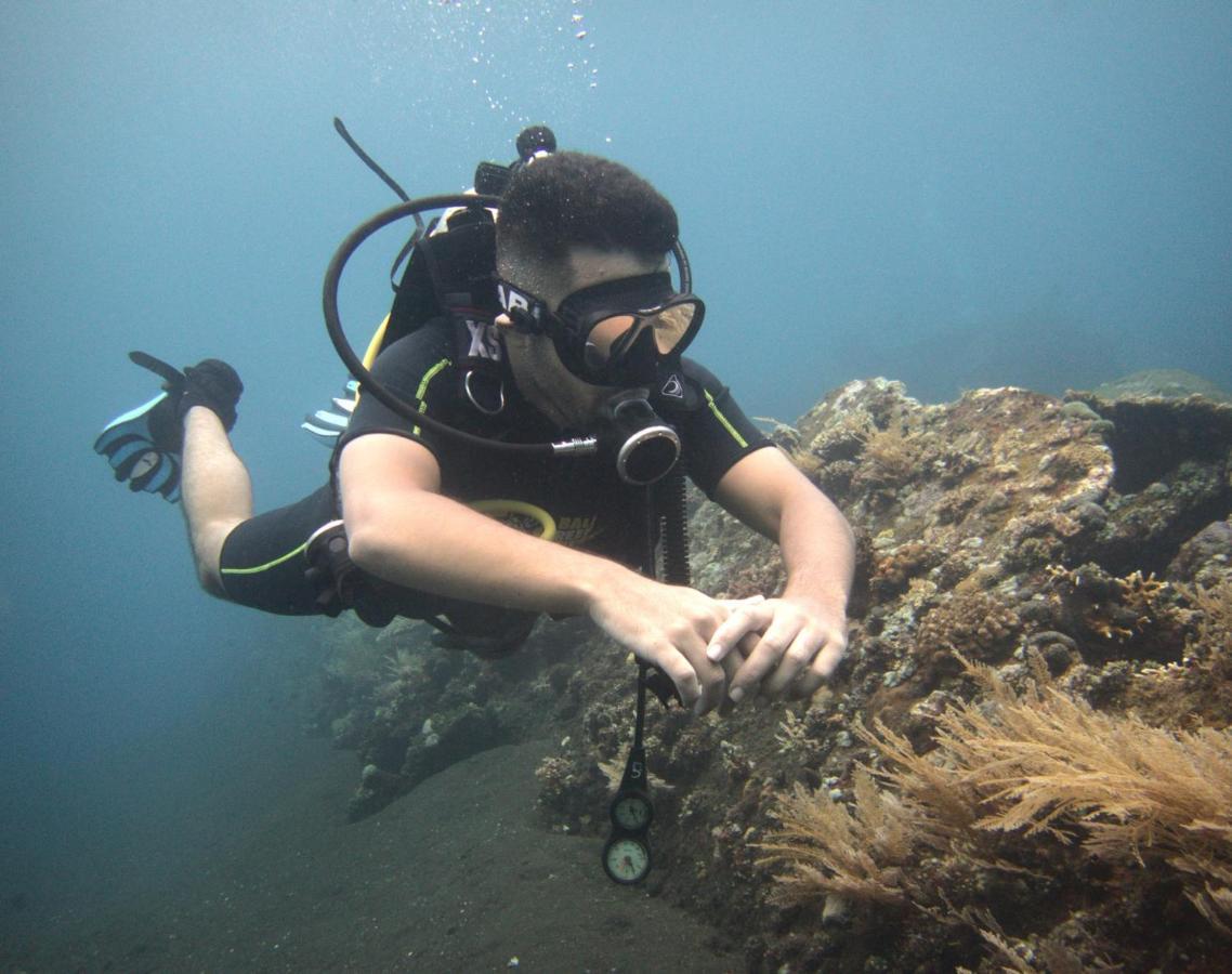 Puri Wirata Dive And Resort 3*