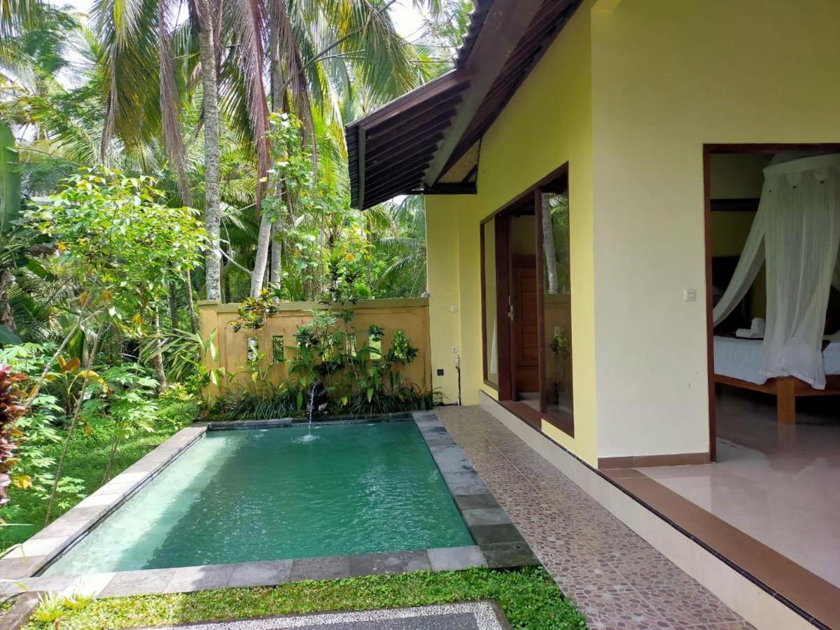 Dukuh Village & Art Guest house