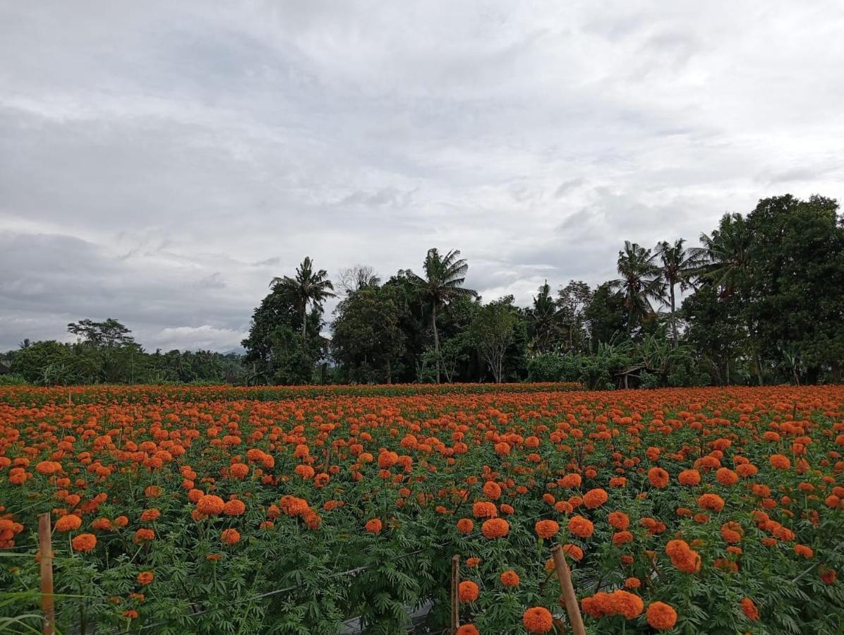 Candy Villa Klungkung