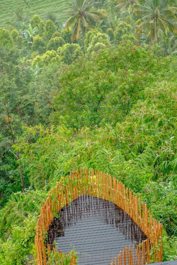 Dreamy Cliffside Bamboo With Pool And View