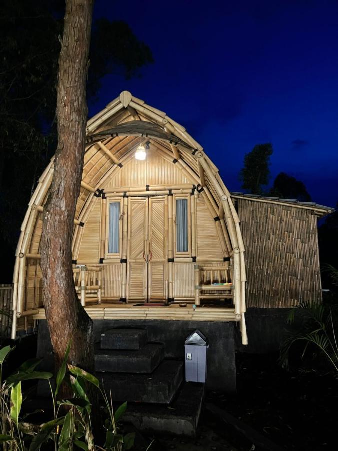 Bamboo Austin Mountbatur *