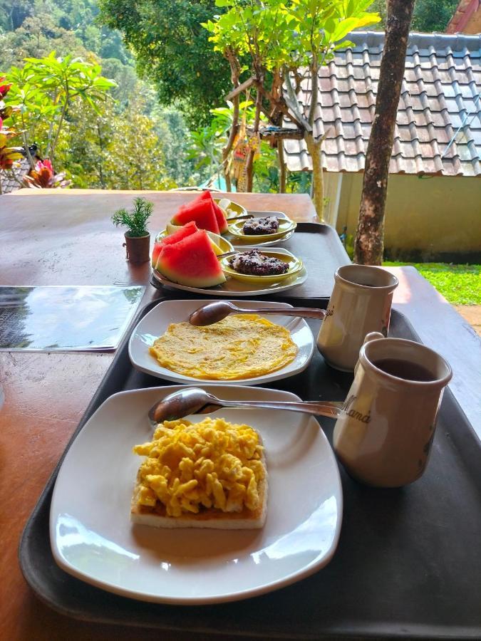 Friendly Lemukih Homestay Singaraja (Bali)