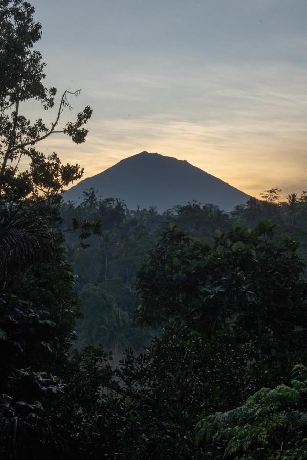 Umah Capung Sebatu *