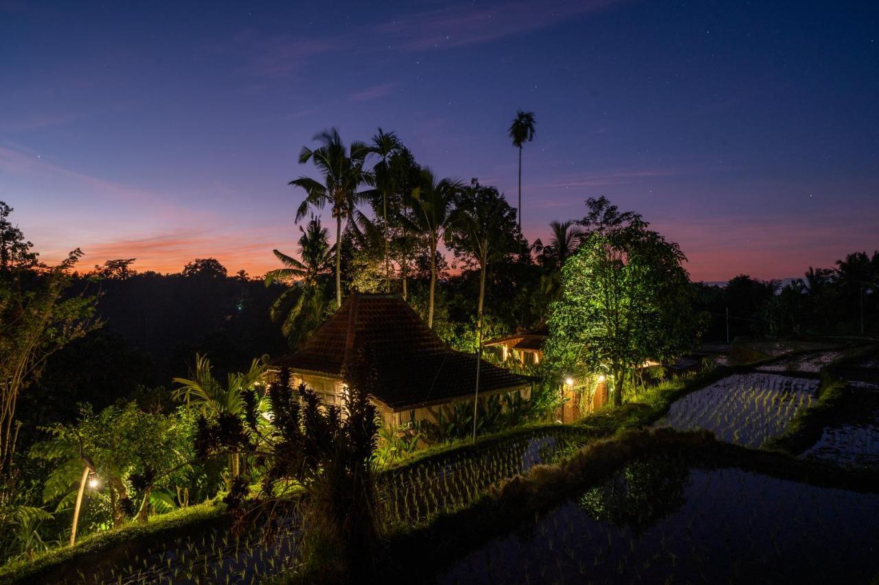 Villa Umah Capung Sebatu *