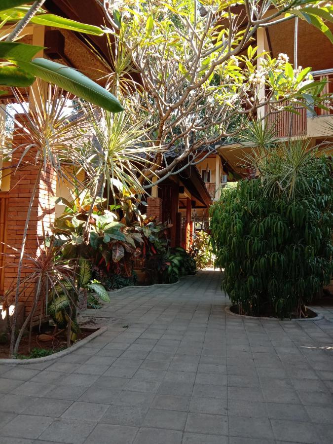 Petit Boo Amed (Bali)