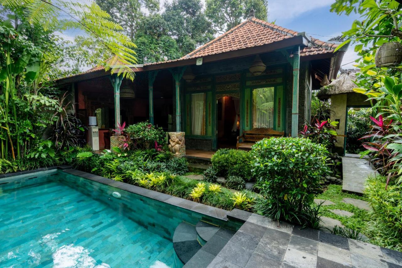 Bunut Garden Luxury Private