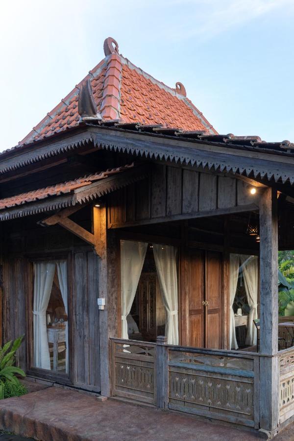 Villa Umah Capung Sebatu *