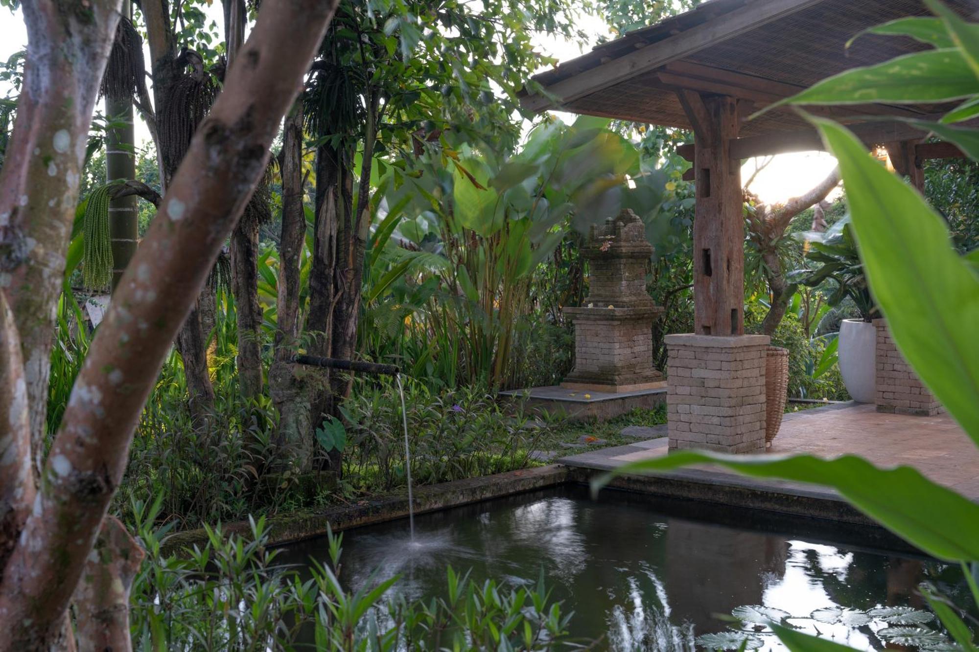 Umah Capung Sebatu *