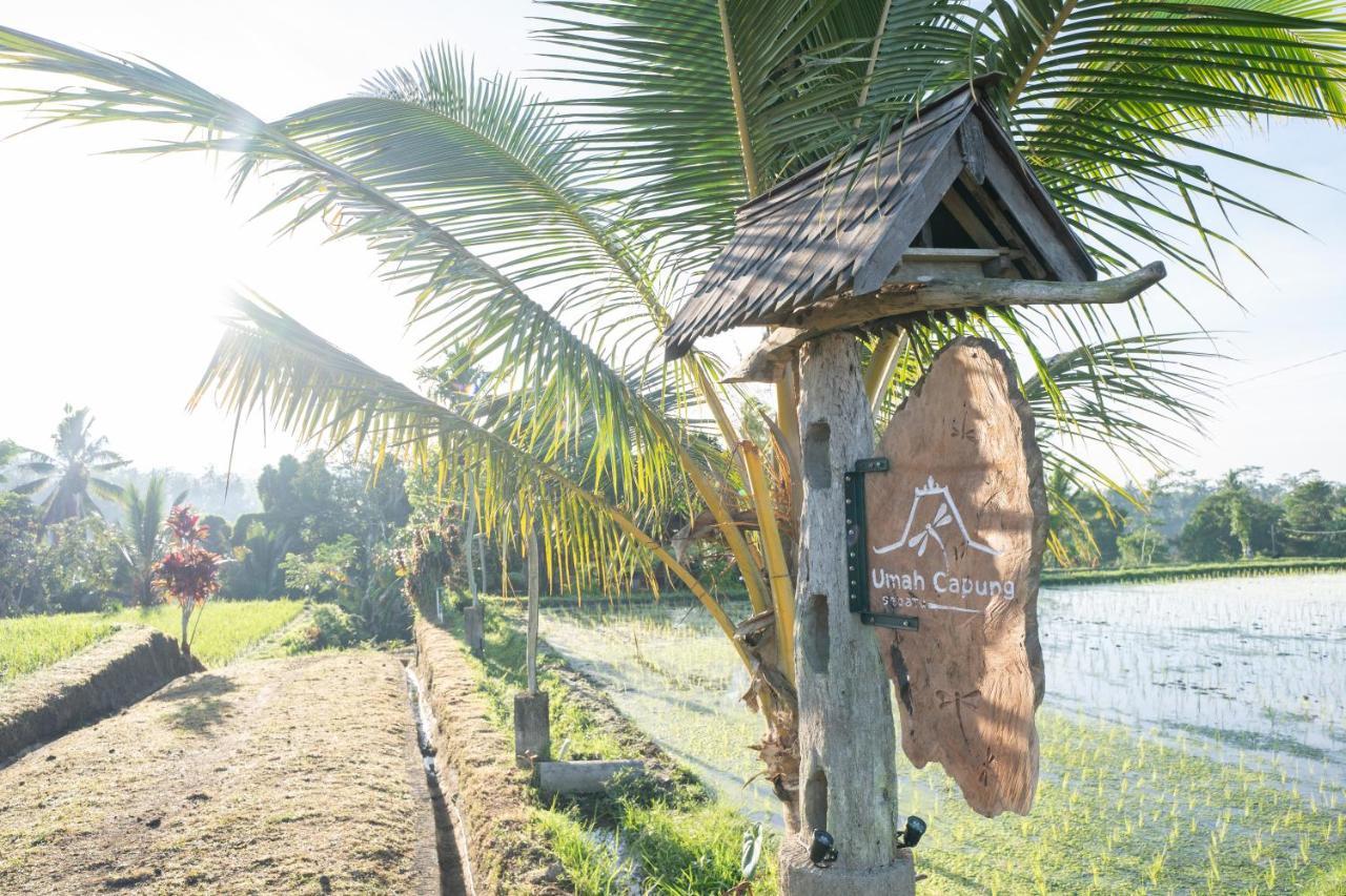 Umah Capung Sebatu Villa Tegallalang (Bali)