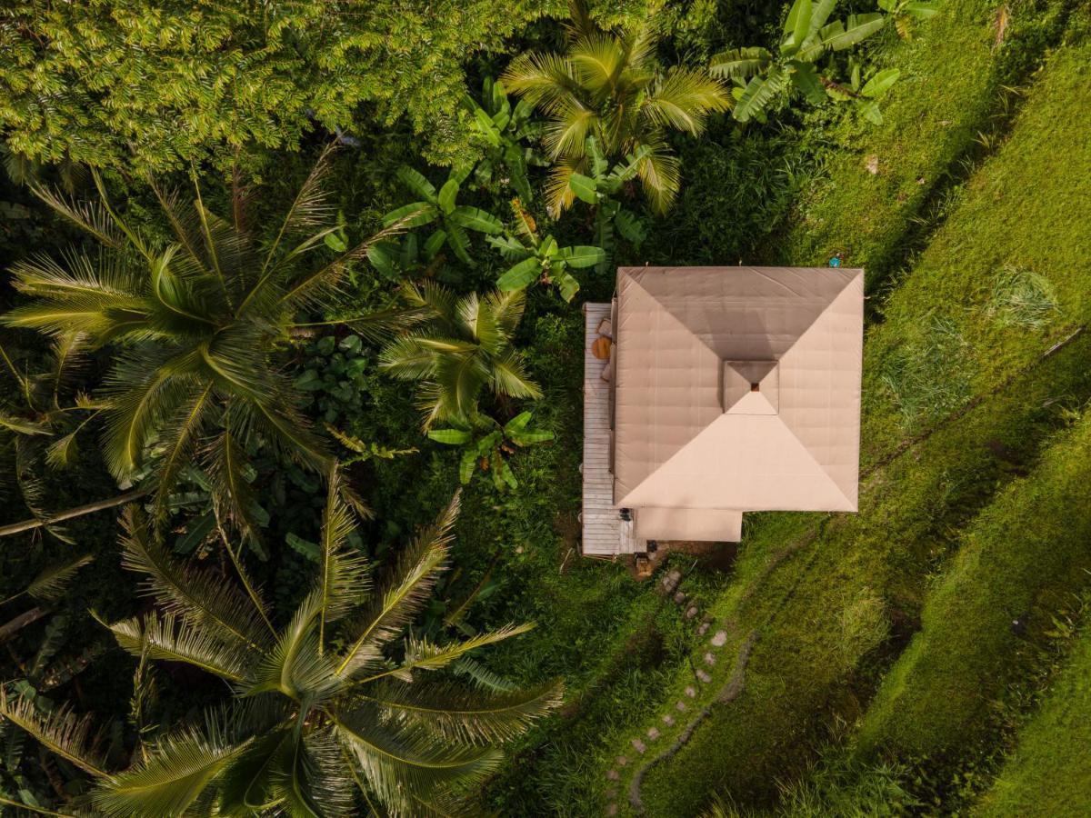 Nadi Nature - Adults Only *
