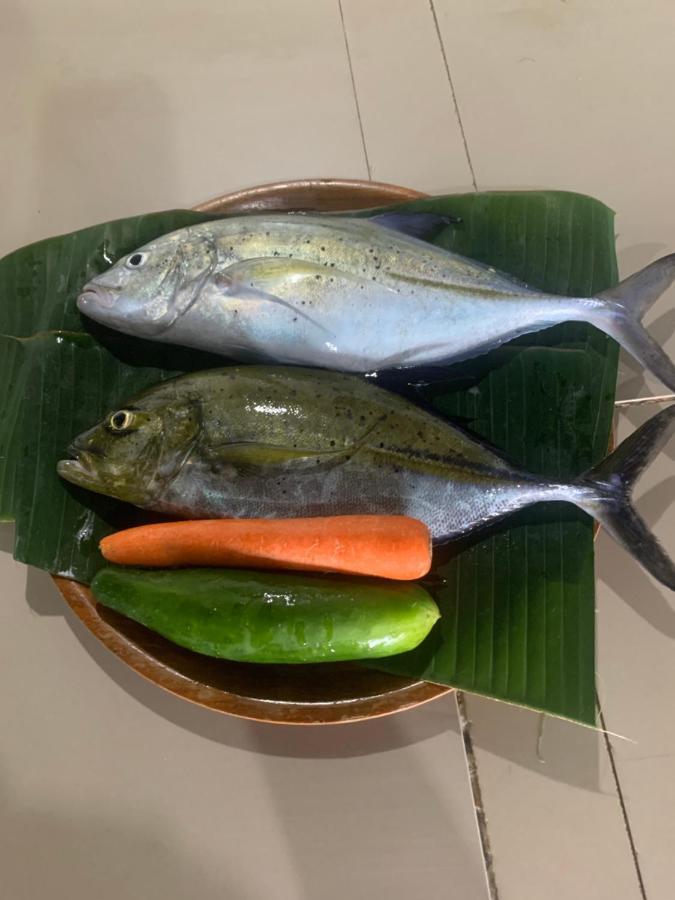 Diver's Cafe Amed (Bali)