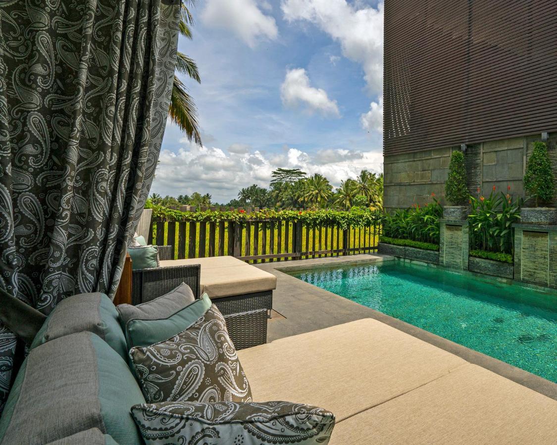 The Luxe *