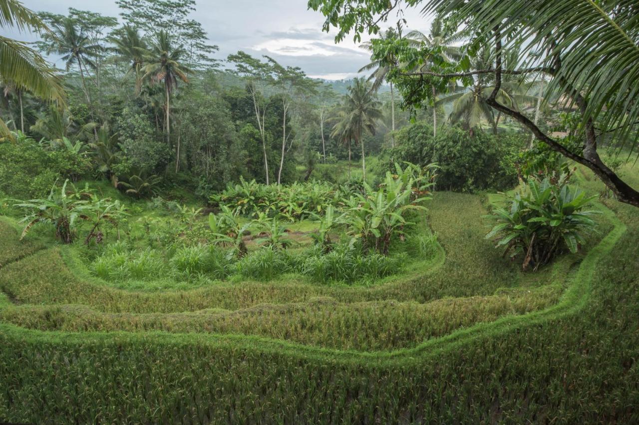 Masakali Retreat *