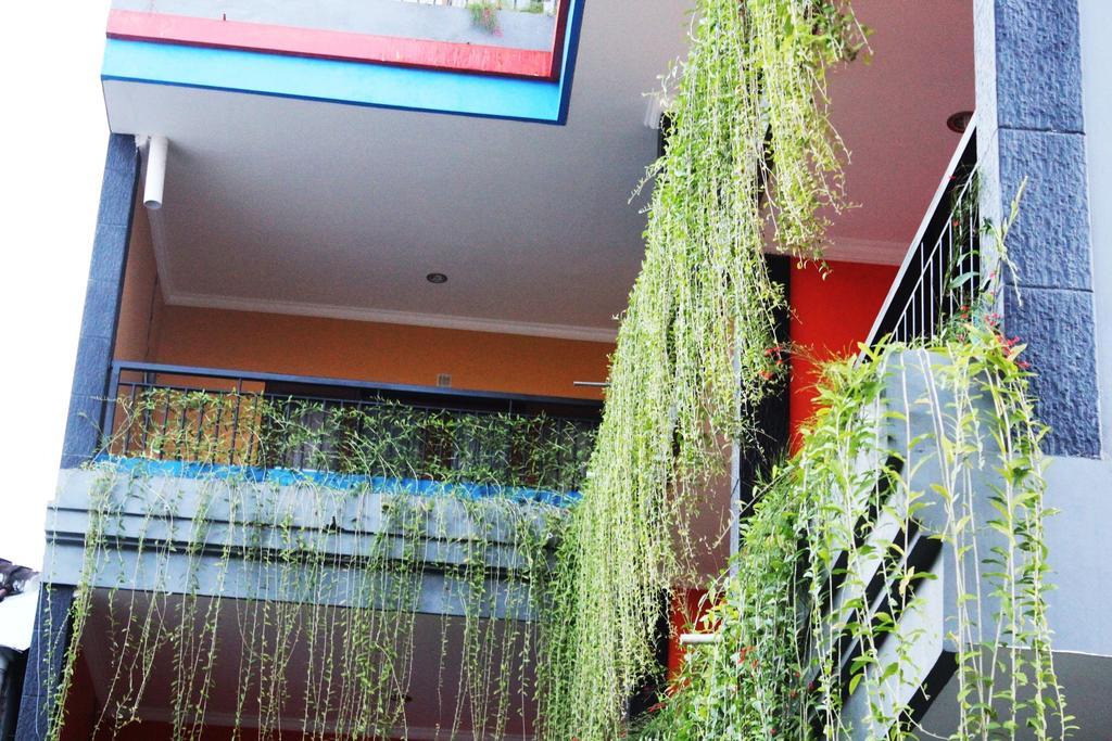 Wisma tamu Rena Segara House Kuta 2*