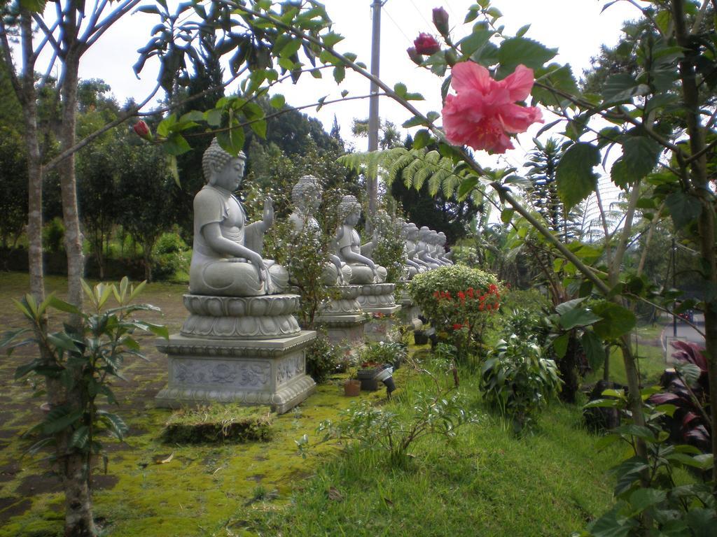 The Raja Singha Boutique Bali * Lovina (Bali)