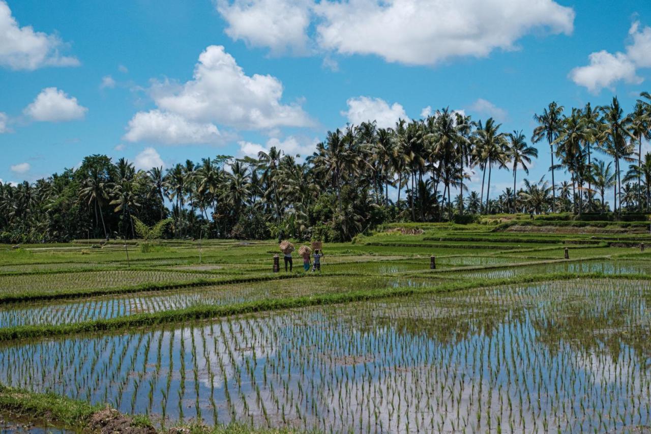 Asri Cinta * Ubud (Bali)