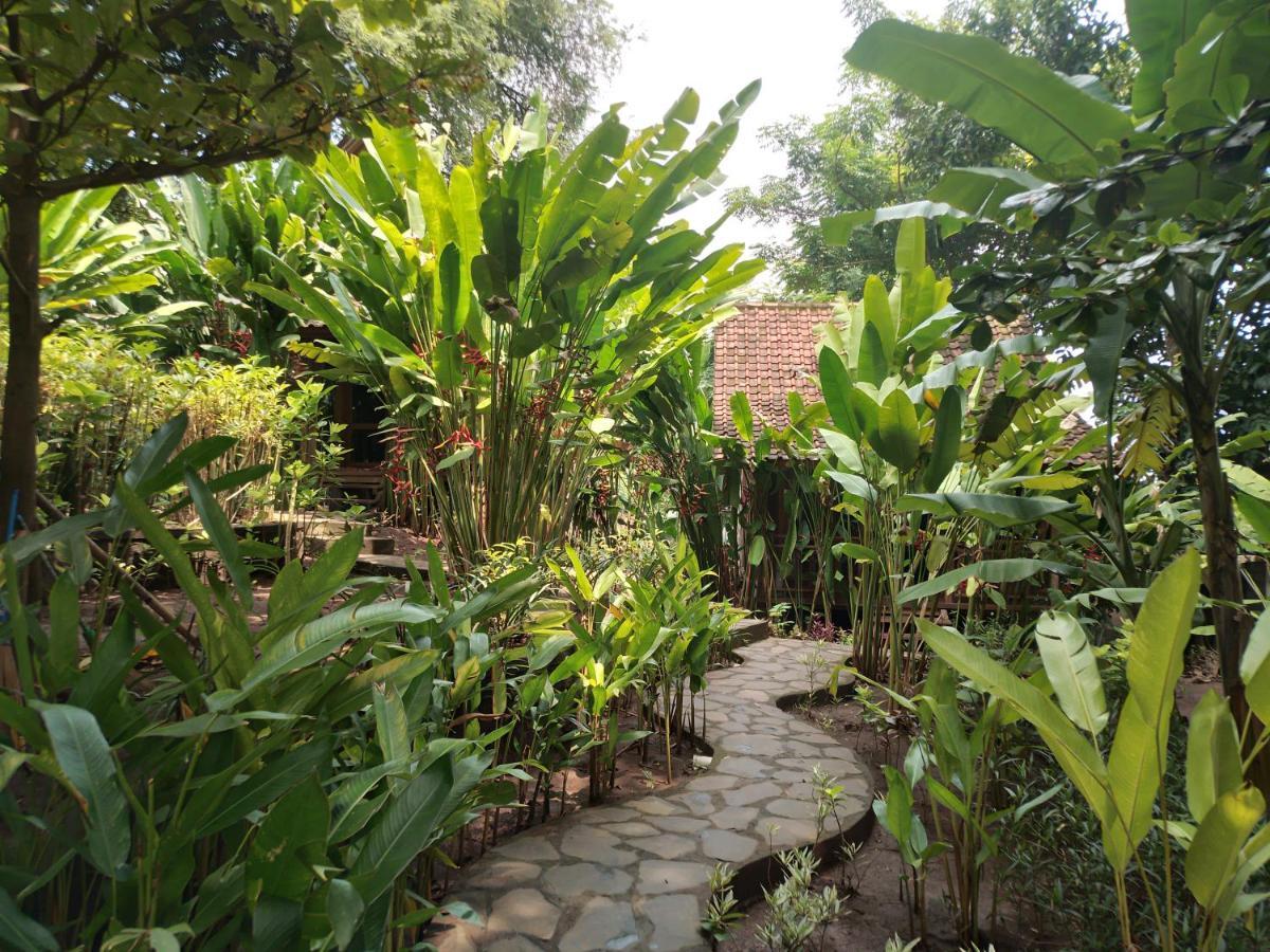 Ocean Prana Village Asrama Amed (Bali)