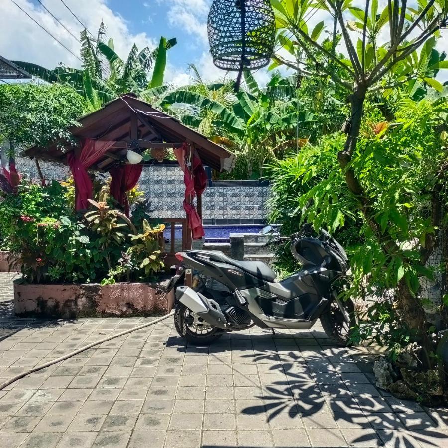 Putu 2* Pemuteran (Bali)