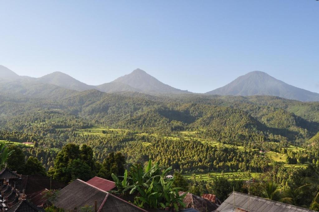 One And Warung Homestay