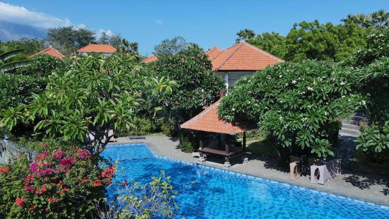 Liberty Dive Guest house 3*
