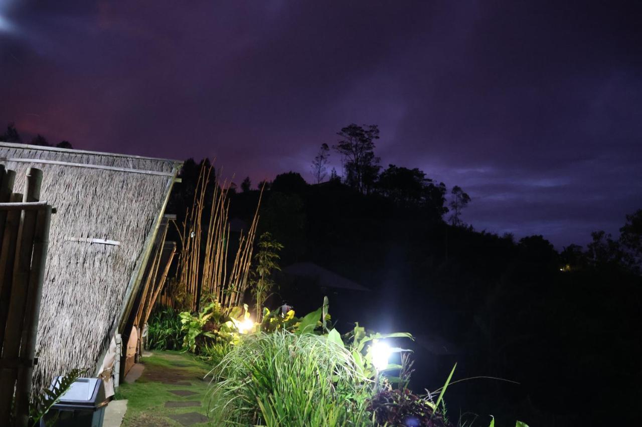 Bali Sunrise Camp & Glamping Campsite