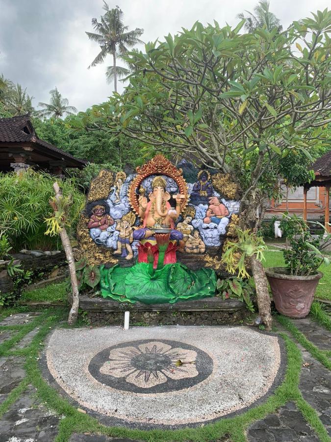 Guest house Narafa's *