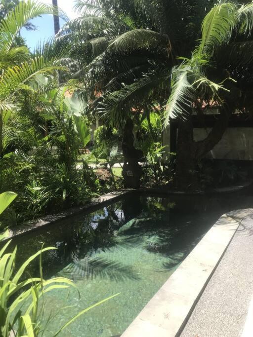 Spacious Private Pool Apartment-beachside