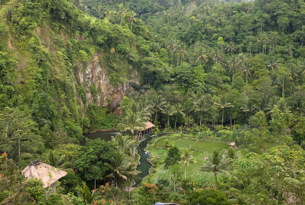 The Royal Pita Maha Resort Ubud (Bali)
