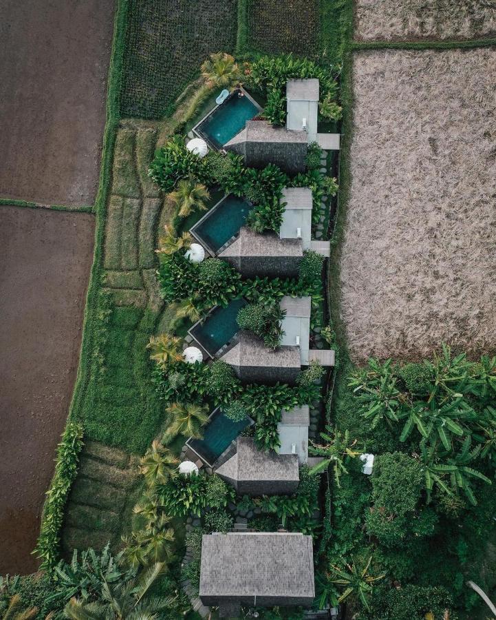 Villa Lasamana By Pramana