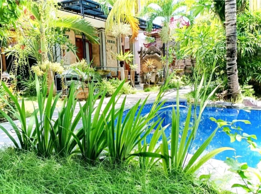 Palace Homestay Batununggul