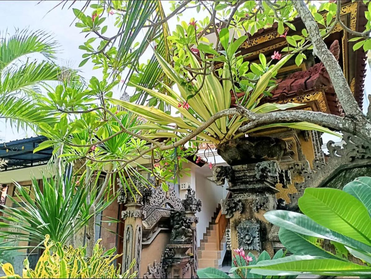 Palace Homestay *