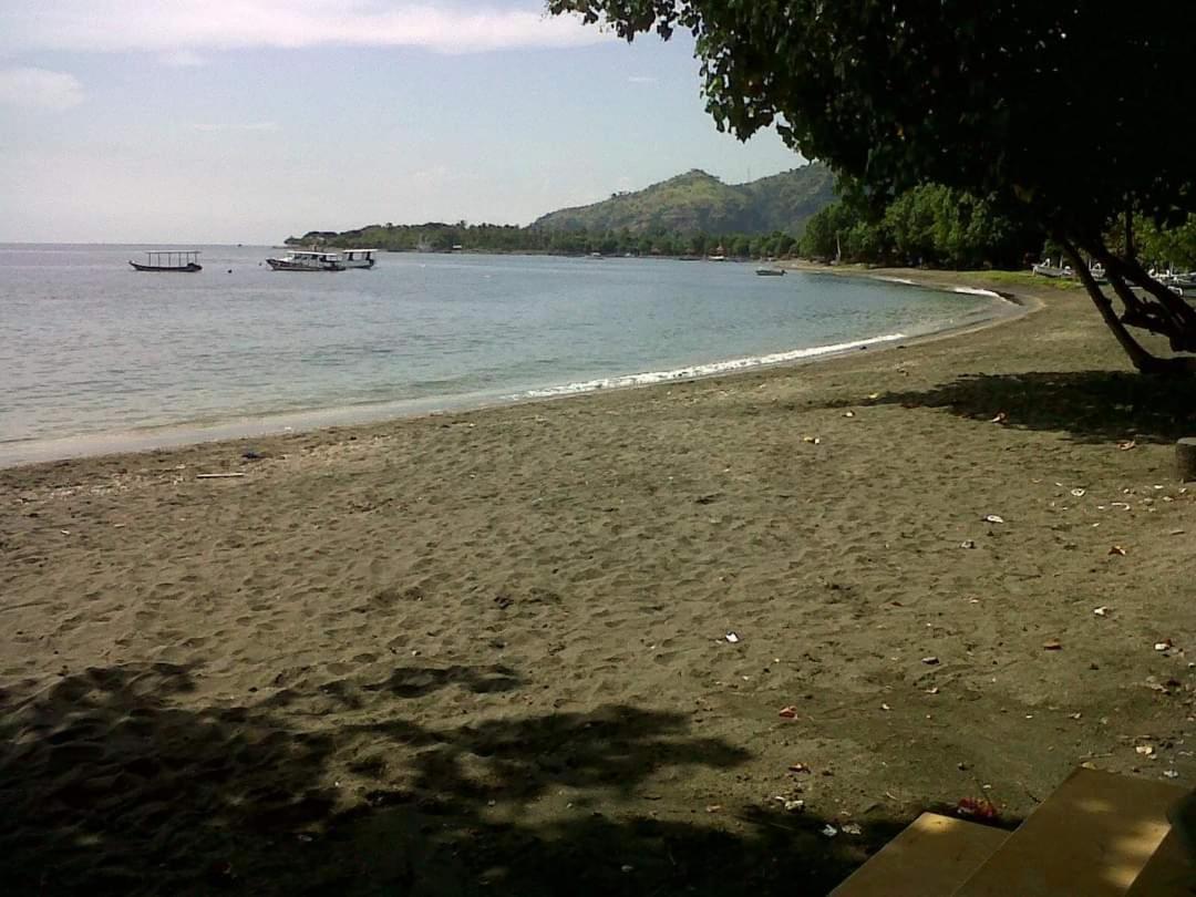 Putu