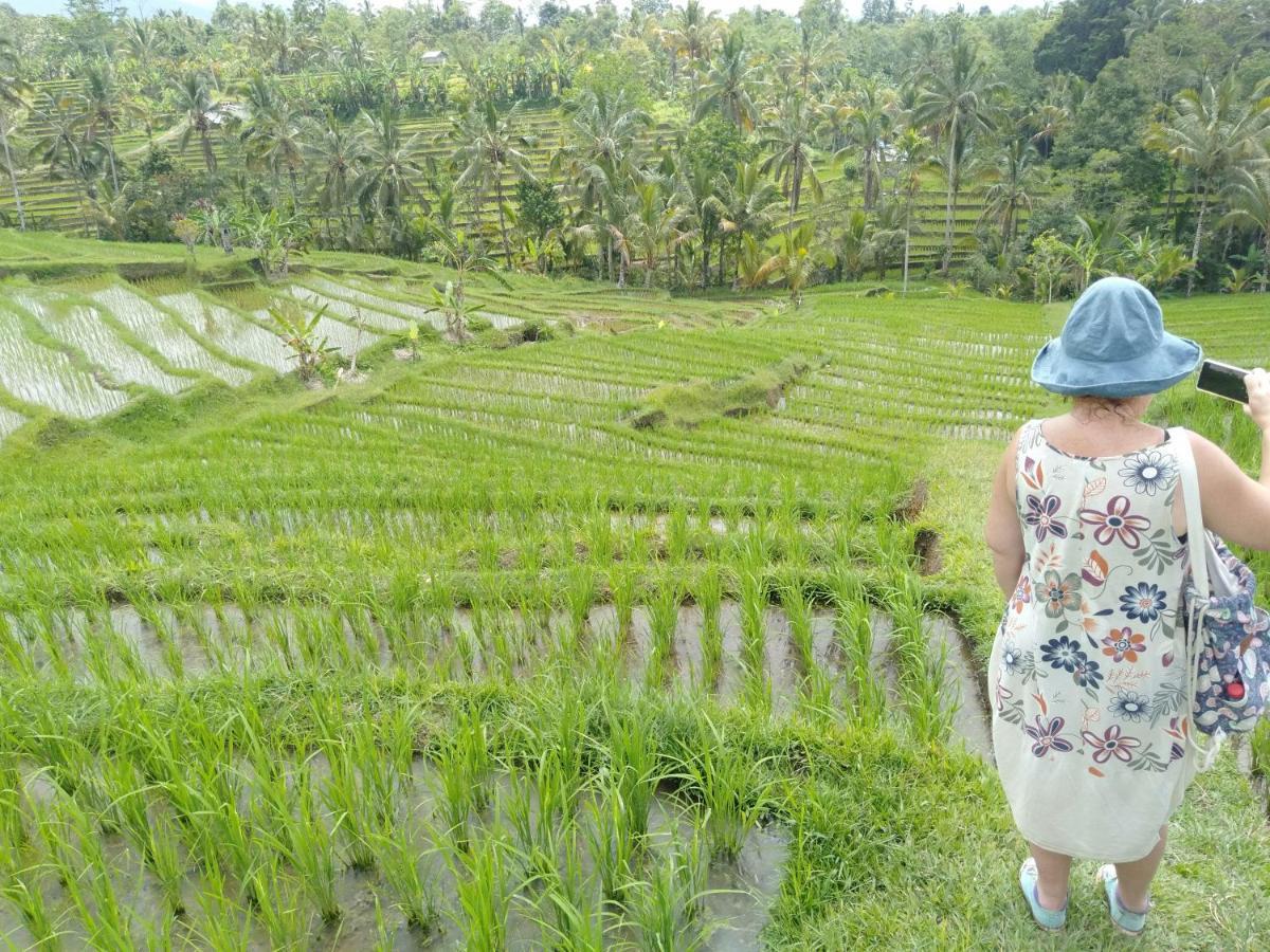 Homestay D'ume Bendoel Jatiluwih