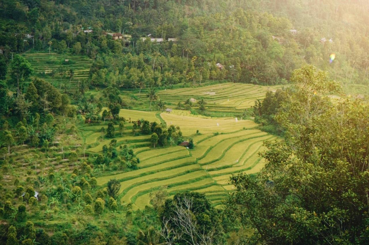 Resort Maha Hills By Mahaprana Experience Lovina (Bali)