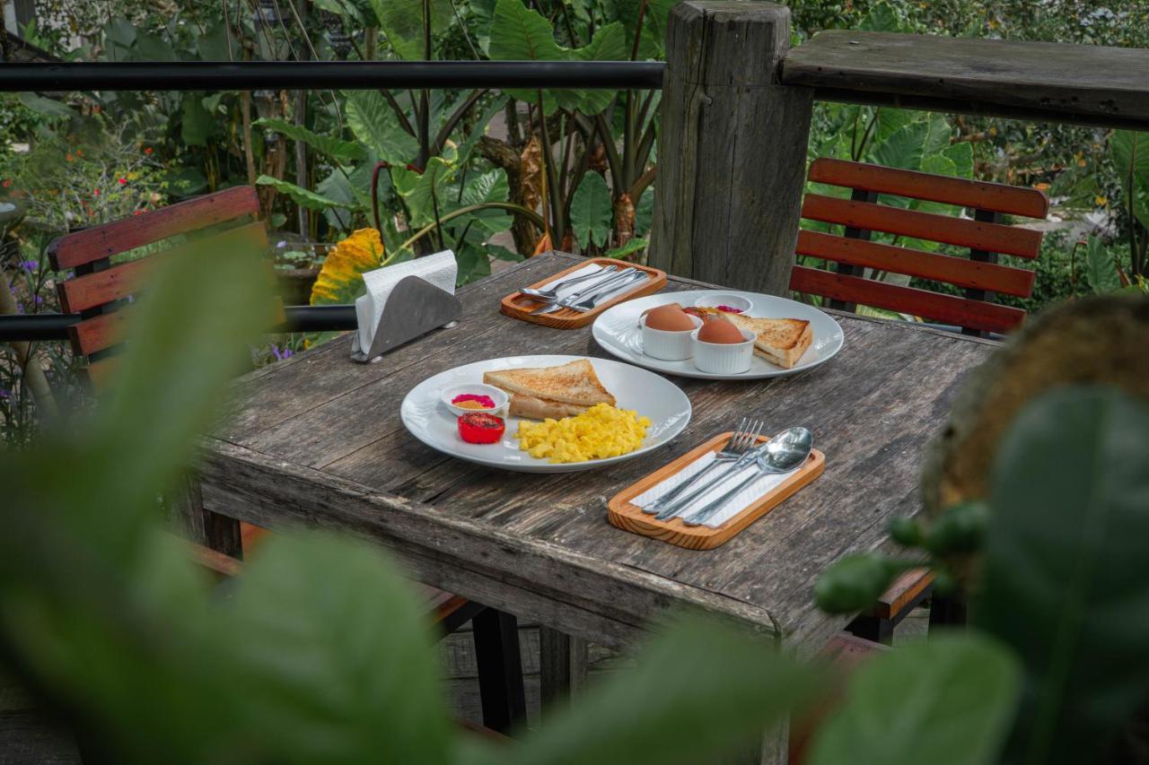 Umadhatu By Amerta Hotel Tabanan (Bali)