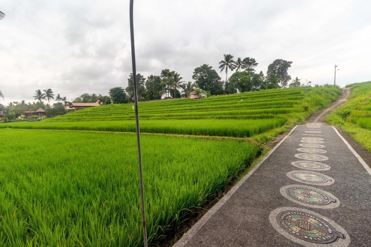 Villa Umasari Rice Terrace By Agata Tabanan (Bali)