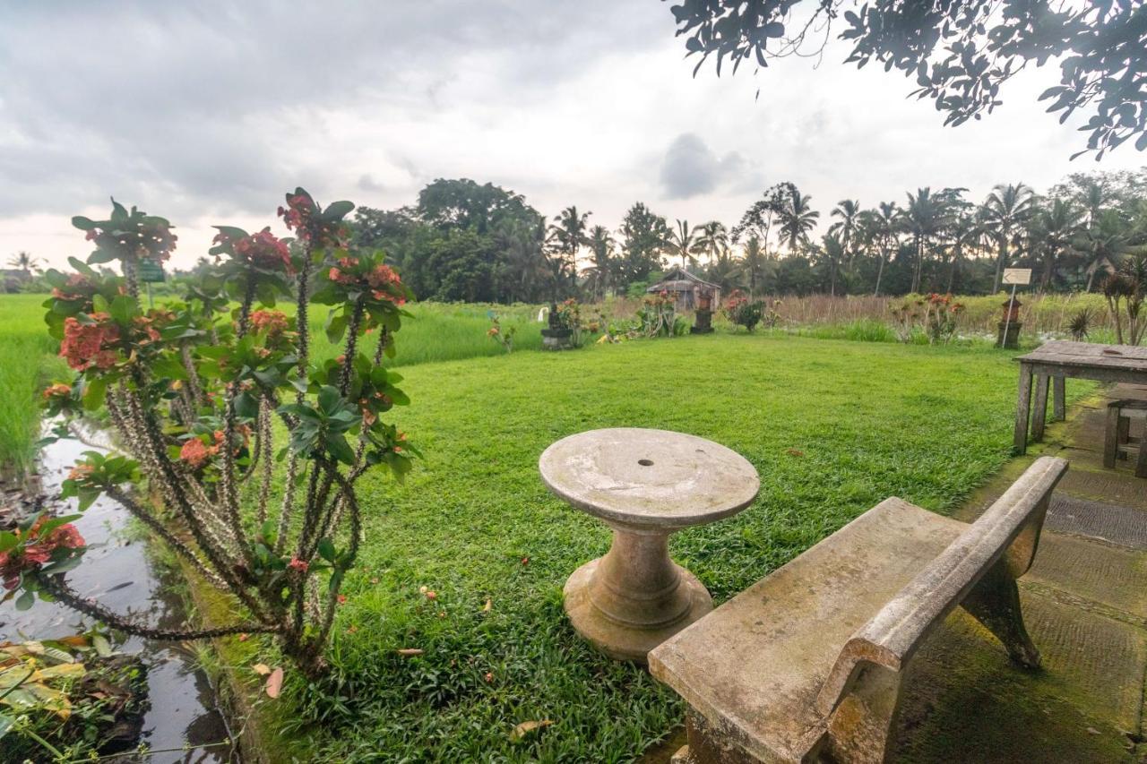 Villa Umasari Rice Terrace By Agata *
