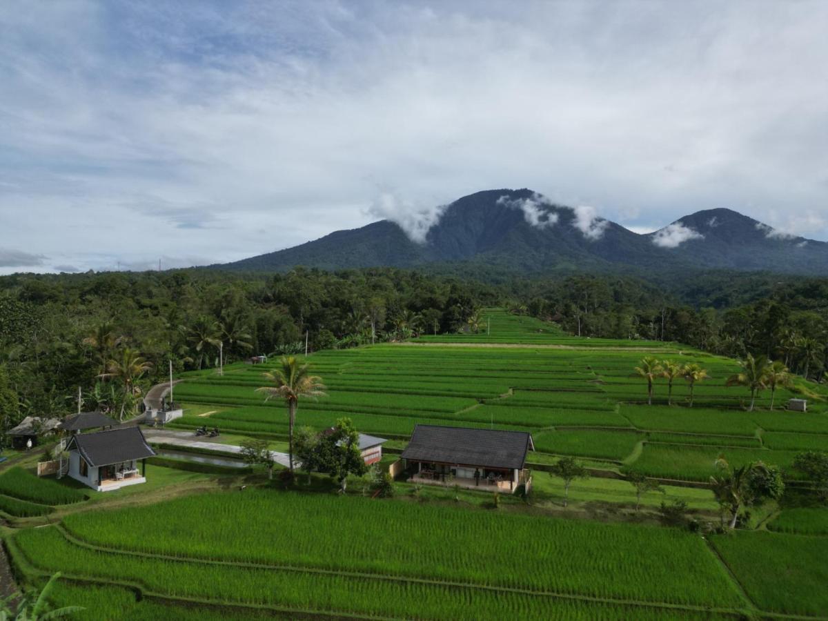 Kubu D'ume Homestay *