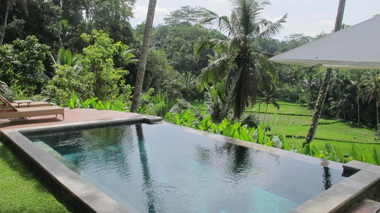 The Papas Villa *