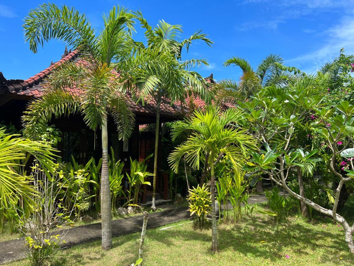 Holiday park Mimpi