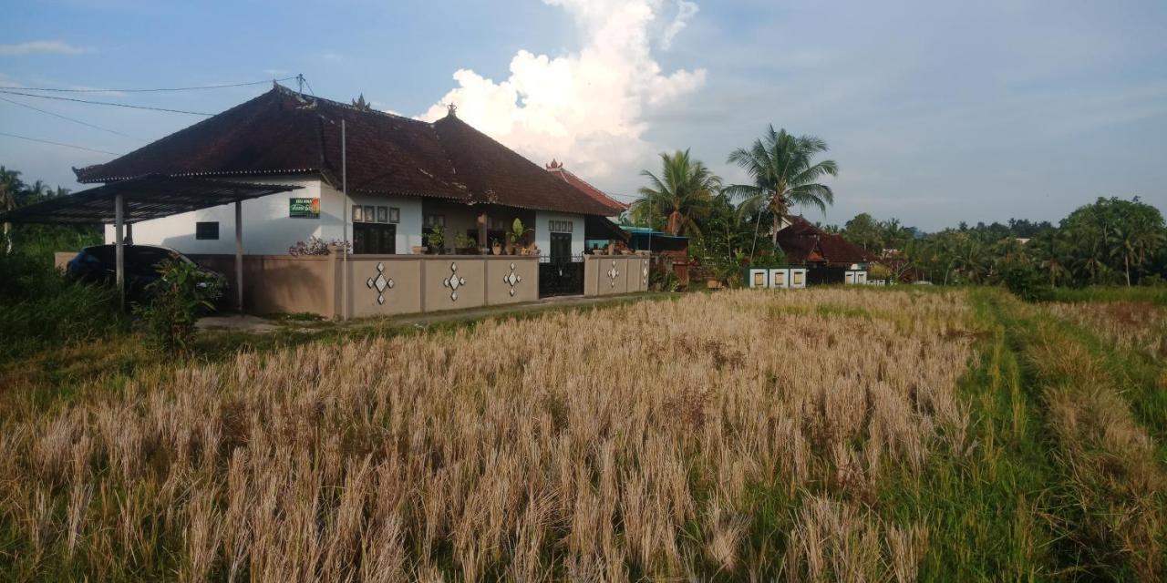 Ibu Ana Guest house *
