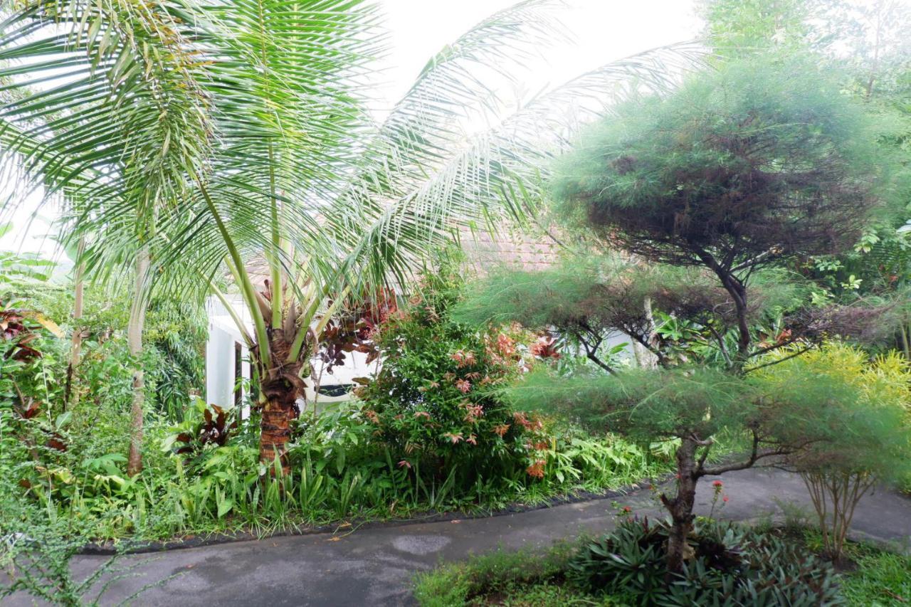 Arya Nusa Penida Villa Toyapakeh