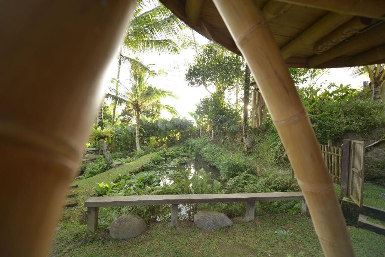 Villa Jero Tumbuk Private Selat