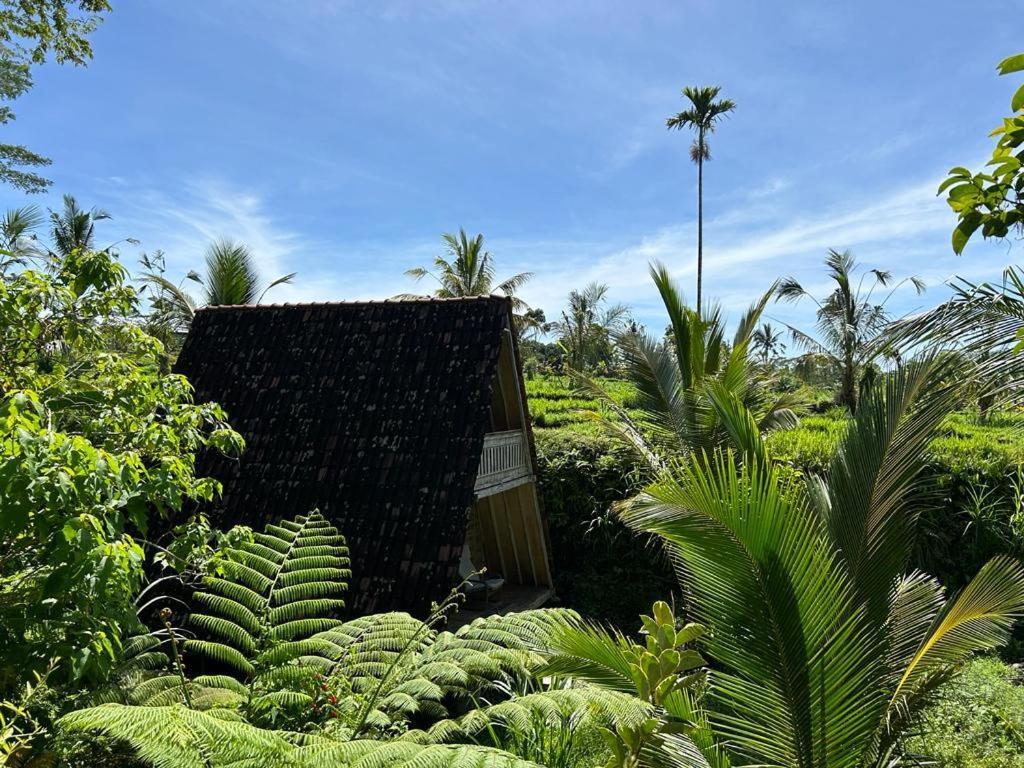 Jero Tumbuk Private Villa *
